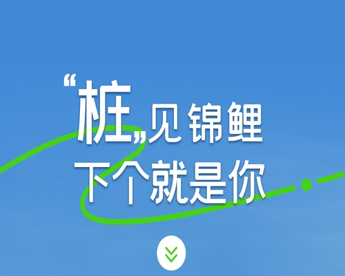 “樁”見錦鯉，下個就是你