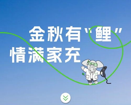 金秋有“鯉”，情滿家充