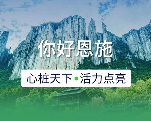 新城開埠 | 心樁天下，“電”亮恩施